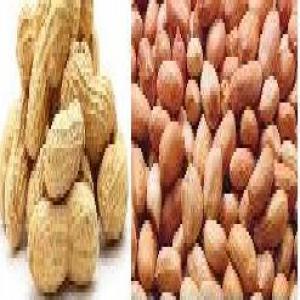  Vente De Graines D'arachide Au Niger - fruits secs et graines grillées nous disposons de plus de 500 tonnes de graines d'arachide sec d&eacute;cortiqu&eacute;s en stock. graines cass&eacute;es et non cass&eacute;es. nous achetons directement nos produits bord champ avec les paysans. nos graines sont donc bien s&egrave;ches et bien conserv&eacute;es. aidez nous &agrave;