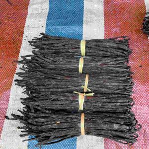  Vanille - épices aromates  je suis de madagascar et j’ai en ce moment 200kilos de vanille (fandihy rouge) premi&egrave;re qualit&eacute;. contacter moi si vous etre int&eacute;ress&eacute;. merci