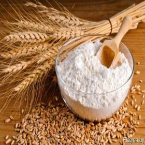  Wheat Flour Type 500 From Poland - seed plant seed dear friends,   we sell wheat fluor type 500,   bulk quantities,  best quality from poland.  usually in 10 kg sacks but upon request can be in bigger sizes. price depends of quantity  and destination. -- if interested,  please send us your quantity of interest and we send you a cif quotation. 