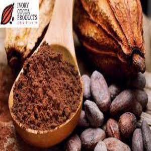  Recherche Clients Pour Cacao Ivoirien Dérivés - café cacao thé nous fournissons du cacao brut bio de c&ocirc;te d'ivoire ainsi que les produits  &agrave; base de cacao semi-finis (beurre,  poudre,  p&acirc;te) et finis (barres de chocolat bio).