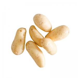  Vends Pomme De Terre Déclassés - fruits et légumes vends grosse quantit&eacute; de pomme de terre d&eacute;class&eacute;s pour transformation amidon ou animaux vari&eacute;t&eacute; jelly