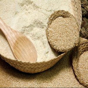  Farine De Millet Complet, Brune, Sans Gluten - féculents farine de millet --a l’instar de l’avoine,  le millet (pennisetum glaucum) appartient à la famille des mils à grappes ; il est originaire de l’est de l’inde et fait partie des plus anciennes plantes cultivées. il jouait,  jusqu’au siècle dernier,  un rôle important dan