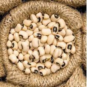  Mieux Que La Meilleure Bonne Dégustation - fruits et légumes nous sommes à la recherche des clients  pour nos produits locaux de madagascar ---- black eyes --- toutes les légumes sec  ex carotte haricot vert pomme de terre brede  mafane  ravitoto  sns--- fruits séchés- ananas séché,  pomme séchée,  litchis