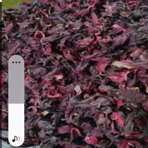  Vente Hibiscus( Bissap Rouge Et Blanc) - fruits secs et graines grillées nous disposons du bissap rouge et blanc en grosse quantité. nous sommes situés en casamance. nos produits sont frais --nous sommes prets à toute collaboration sur la commercialisation de nos produits. --le prix au kilo est de 6 à 7 euro
