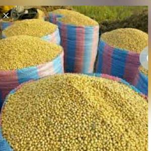  Achat Et Vente De Produits Agricoles - Investissement capitaux je suis jeune commerçant dynamique dans l'achat et vente des produits agricoles tels que soja,  maïs, acajou,  sésame, sorgho,  stock de l'huile d'origine végétale au bénin au sud du pays.