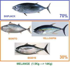  Recherche Thon (skipjack Et Yellowfin) - poissons nous somme a la recherche fournisseur direct de thon congel&eacute; (skipjack et yellowfin) de calibre poids 2kg et plus  .livraison cif pour tunisie.--avec prix n&eacute;gociable