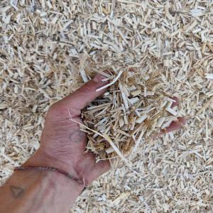  Vente Miscanthus Vrac - autres - miscanthus de morainville - --producteur de miscanthus en eure-et-loir sur grande exploitation (200ha).--vente miscanthus vrac (15mm/20mm) labélisé ecocert--produit sec- - 15% d'humidité à la récolte et stocké sur dalle béton sous hangar--utilisatio