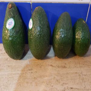  Avocat De Première Qualité, Fraîchement Coupé. - fruits et légumes avocat de première qualité,  fraîchement coupé. --variété - hass. --taille 16-18. --certification - toutes requises. --quantité - 1 conteneur réfrigéré de 40 pieds. --poids - 18, 800 kg.--prix - 2 450 $ usd/tonne. semaine (5/11 d&eac