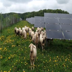  Cherche Terrain Louer/acheter Pour Centrale Pv - energie renouvelable vous disposez de terres et vous vous demandez comment augmenter vos revenus à long terme et en toute sécurité,  tout en contribuant à la transition écologique ?--nous louons ou achetons vos terres pour 25 ans,  afin d‘y installer une centrale solaire.----dans le meil