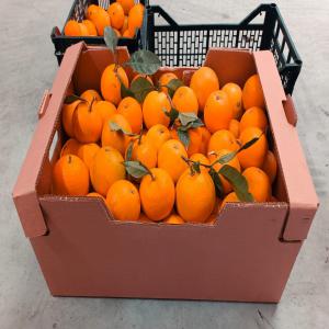  Oranges Et Clémentines From Spain - fruits et légumes nous sommes une entreprise espagnole sp&eacute;cialis&eacute;e en fruits et l&eacute;gumes frais on propose oranges cl&eacute;mentines aubergines ail oignions poivron californie jaune et rouge piment vert poivron kappa tomates courgettes