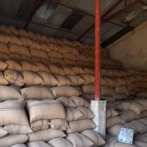  Cashew Nut - roasted seeds and nuts i have more than 800 tons of raw and roasted cashew nuts. i am looking for a partner who would need raw cashew nuts. i am based in senegal. the ton of raw cashew nuts is sold at 1148€. for more information please contact me on my email or phone number.