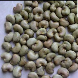  Food Producer - other we are a company base in africa in cameron we deliver products such as cashew nuts and sesame and much else for any buyer contact