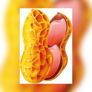  Arachides Décortiquées 73 Season 22/23 - fruits secs et graines grillées notre société et spécialité sur arachides décortiquées depuis 7 ans vers le marché marocain plus d'informations n'oublie de m'envoyer votre email ou msg whatsapp 