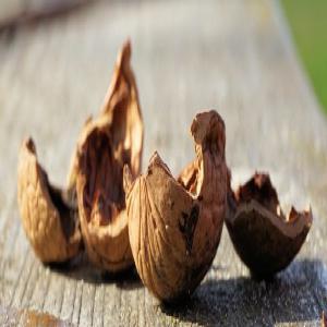  Coquille De Noix Pour Chauffage - energie renouvelable bonjour,  nous processons des cerneaux de noix en ukraine,  nous avons un camion de 20 tonnes de coquilles de noix pret au départ. le pouvoir calorifique de la coquille de noix est supérieur à celui du bois. prix sur demande. livraison en big bags possible ou sacs.