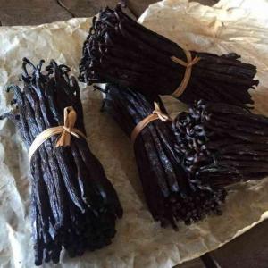  Gourmet Black Bourbon Vanilla Beans - aromatic spices import black bourbon vanilla beans from madagascar at the most reasonable price and fast delivery to your address specification item name vanilla beans length 14cm+ moisture 30% 35% vanillin 2 5% application ice cream pastry extraction cake recipe dessert baking scientific name vani