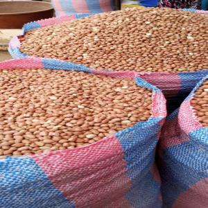  Vente D'arachide De Grandes Quantités Dequalites - huiles  chers importateurs acheteurs et partenaires commerciaux de la r&eacute;publique populaire de chine sen import export & trading vous invite &agrave; la grande campagne d'exportation de l'arachide du senegal.nous avons une pr&eacute;vision de 55.000 tonnes &agrave; exporter vers shanghai