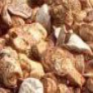  Recherche Fournisseur De Fonds De Tasses D'hévéa - autres bonjour;--nous sommes présentement à la recherche de producteur de fonds de tasse d'hévéa pour en faire l'exportation. nous recherchons des partenaires d'affaire capable de nous fournir dans un temps raisonnable l'information nécessaire aux transactions soient le c