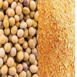  Soja Gmo Non Gmo - autres nous sommes une société de commerce international et export import,   situé en tunisie,  nous cherchons des acheteurs de soja gmo et non gmo origine brésil.