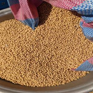  Soja Bio En Stokage - autres soja bio disponible en magasin de très bonne qualité tonnage 30 tonnes et plus à lomé togo pour des informations supplémentaires veuillez contacter appel où whatsapp pour en discuter.