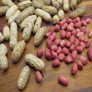  Vente Des Secs: Grain Sésame, L'arachide, Côme Ar - fruits secs et graines grillées entreprise familiale cit&eacute; aux en alg&eacute;rie soudain et au tchad depuis 2006. nous sommes dans la production agroalimentaire. nous produisons du grain agricole pour la consommation humaine fruits secs tell que le grain s&eacute;same l'arachide  le grain de tournesol ainsi les l&eac