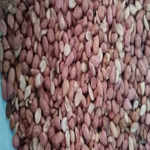  Vente D'une Grande Quantité D'arachide Au Senegal - fruits secs et graines grillées bonjour chers clients, ----la campagne arachidière est lancée au sénégal. nous sommes spécialisés dans l'exportation de la graine d'arachide partout dans le monde. nous avons une capacité annuelle de plus de 25 000 mt. nous fournissons en plus grandes 