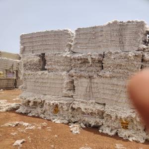  Lint Cleaner - matiere vegetale nous avons &agrave; notre disposition et en grande quantit&eacute;,  du lint cleaner. nous sommes donc ouverts pour toutes n&eacute;gociations concernant le prix pour des bonnes fins de partenariat. contactez nous. nous sommes au b&eacute;nin. merci.