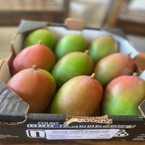  Mangue Kent - fruits et légumes bonjour nous sommes actuellement en plein dans la pr&eacute;paration de la campagne de mangue kent 2023 depuis la cote d'ivoire nous pourrons fournir jusqu'&agrave; 5 conteneur de 40 pieds par semaine. nous sommes disposer a de nouveau partenariat alors n'h&eacute;sitez pas a nous contacter.