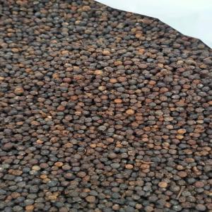  Poivre Noir - épices aromates nous disposons de 50 containers  de poivre noir en centre nous différents type de poivre noir à notre disposition --nous exportons partout dans le monde--mode paiement paiement - lc irrévocable / tt 40 %--prix fob