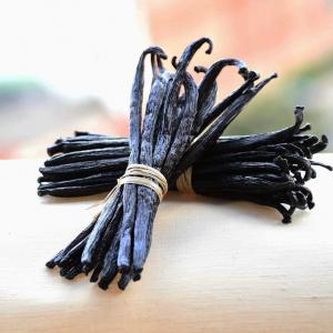  (bio)vanilla Beans Exporter From Madagascar - aromatic spices we are certified vanilla exporter from madagascar supply best quality (bio) bourbon vanilla beans at largest quantity per your request the pods are hand selected and grow in northeastern region in madagascar store from our warehouse ready to use for similar vanilla project and available for all vani