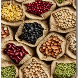  Haricots De Toutes Variétés Du Brazil - fruits et légumes nous sommes &agrave; la recherche de clients nous produisons des haricots de toutes sortes. commande &agrave; partir de 150mt prix en fob merci de nous contacter.