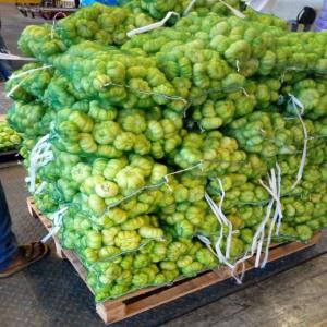 Aubergines Blanches Du Sénégal - fruits et légumes vends aubergines blanches du s&eacute;n&eacute;gal packaging sac filet livraison par avion minimum de commande 500kg produits cueillis ou ramass&eacute;s le jour a pour embarquement le jour a ou