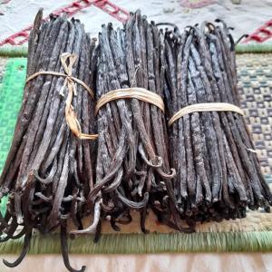  Vanilla Beans Exporter From Madagascar - aromatic spices we are certified vanilla exporter from madagascar supply best quality bourbon vanilla beans at largest quantity per your request the pods are hand selected and grow in northeastern region in madagascar store from our warehouse ready to use for similar vanilla project and available for all vanilla di