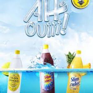 HAMOUD BOUALEM 1 litre verre - boissons non alcolisée nous vous proposons la gamme hamoud boualem.----minimum de commande par tc 20 pieds soit 12 palettes