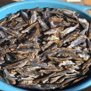  Poisson Fumé - poissons bonjour je sui au sénégal je posed de petite poissons fumé des tonnes et je cherche acheteur merci de me contacter 
