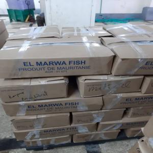  Recherche De Clients Pour Les Poissons Congelés - poissons nous sommes une soci&eacute;t&eacute; mauritanienne d'exportation de poisson,  nous sommes toujours &agrave; la recherche de nouveaux clients sur les march&eacute;s internationaux. nous disposons des infrastructures et &eacute;quipements n&eacute;cessaires (usine,  bateaux p&eacute;lagiques,  personnel