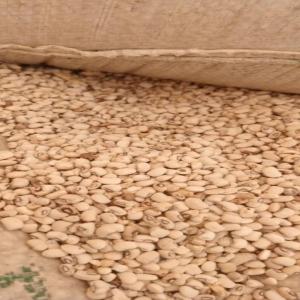  Vente De Haricot Blanc - céréales sp&eacute;cialiste dans le n&eacute;goce depuis 5 ans,  je recherche un acheteur de haricots blancs en c&ocirc;te d'ivoire. je dispose de 1500 tonnes en stock. l'achat doit se faire sur place.--le co&ucirc;t du kilogramme est fix&eacute; &agrave; 470 fcfa. le stock est livr&eacute; &agrave; abidjan. 