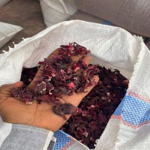  Hibiscus Rouge Classique Ou Bio - matiere vegetale   nous disposons d'une grande quantit&eacute; d'hibiscus rouge et blanc classique ou bio (origine ouest afrique) nous pouvons vous fournir une tr&egrave;s bonne qualit&eacute; avec les quantit&eacute;s souhait&eacute;es &agrave; des tarifs tr&egrave;s comp&eacute;titifs. n’h&eacute;site