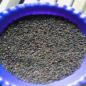  Poivre Noirs - épices aromates bonjour--avez-vous besoin dans vos m&eacute;nages respectifs du poivre noirs en grande quantit&eacute; , veuillez tout simplement me contactez en inboxer pour d'amples informations. merci