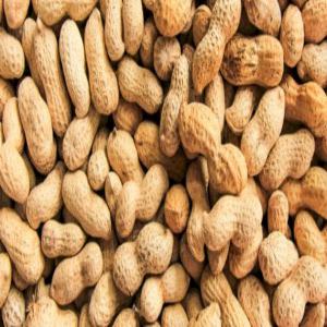 En Recherche D’un Acheteur D’arachide - fruits et légumes bonjour,  --je suis actuellement à la recherche d’un acheteur d’arachides (cacahuètes). --origine du produit - soudan --point - entre 500kg et une tonne 