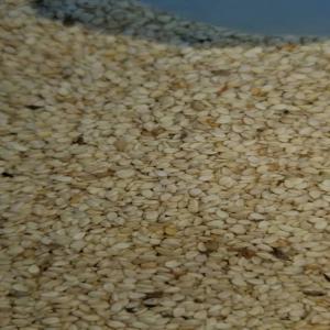  Sésames Petit Et Gros Grains En Destockage. - fruits secs et graines grillées bonjour--nous sommes une entreprise de n&eacute;goce bas&eacute; au tchad. ----nous disposons de 2500 tonnes de s&eacute;same non nettoyer,  et 800 tonnes de s&eacute;same nettoyer de gros grains et de petits grains. ----nous vendons en gros et le prix en kg varie en fonction de la quantit&eacute; ac