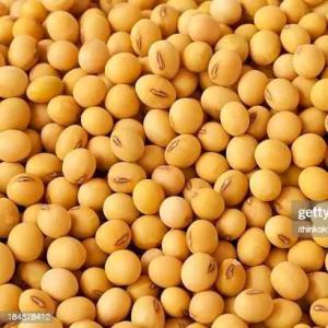  Je Suis La Recherche D'un Partenaire - matiere vegetale je recherche un partenaire avec qui je pourrai faire des campagnes des mati&egrave;res premi&egrave;res comme ( soja,  acajou,   maïs,  mille etc....)