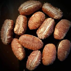  La Graine De Ekwang +craines De Cavier De Vanill - fruits secs et graines grillées nous vendons une  quantité 15000 unité de la graines de ekwang pour les labo industrie pharmaceutique l'efficacité de collyres contenue 0, 5% d'extrait + graines de cavier de vanille (utilisées dans l'industrie pharmaceutique et industrie de beauté
