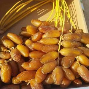  Dattes Deglet Nour Premium - fruits et légumes nous sommes une soci&eacute;t&eacute; d'export nous mettons en vente. dattes deglet nour premium de tolga biskra de diff&eacute;rente qualit&eacute;s situ&eacute; en algerie dattes de haute qualit&eacute; succulentes branchette et vrac &agrave; des prix avantageux boite 1 kg boite 2 kg boit