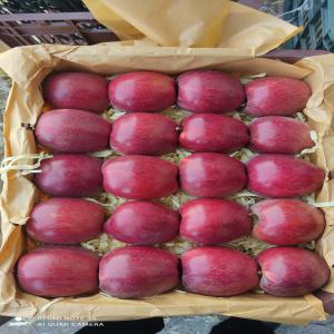 On Metre Envente Une Très Bonne Qualité De Pomme - fruits et légumes salut tous le monde nous mettons en vente une très bonne qualité de pomme avec un prix impressionnant et une très grandes quantités 