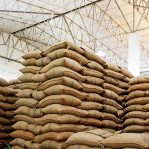  Vente De Café Vert /torréfié Cacao (fèves/nibs) - café cacao thé bonjour à tous,  --usine basée au cameroun nous exportons du café vert (arabica/robusta- torréfaction sur place possible) et cacao ( en fève ou sous forme de nibs). --conditionnement - sac jutes ou nylon / push box--export via des conteneurs au départ de doua