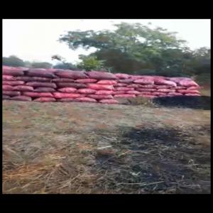  Charbon De Bois - bois charbon fibre nous disposons de grande quantit&eacute; de charbon de bois &agrave; abidjan en cote d'ivoire pret &agrave; etre exporter vers les ports du monde entier veuillez nous contacter pour toute information. merci