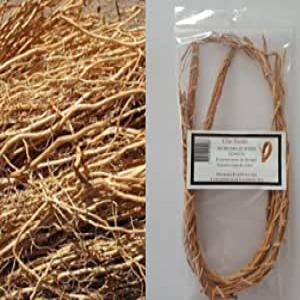  Tiges De Vetiver - matiere vegetale nous recherchons une clientele sur le long terme pour nos tiges de vétiver.nous disposons de grosses tiges --bien odorante . minimum de commande 500 tiges.nous pouvons fournir jusqu'à 100.000 tiges régulièrement.--livraison ¨postal ou gp dans tout le monde entier.--nous j