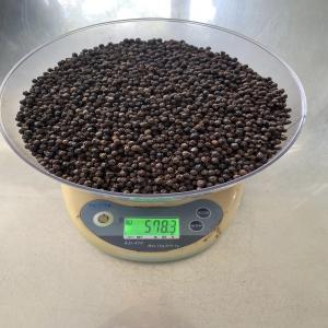  Black Tanzania Pepper - fruits et légumes black tanzania  pepper--- dried red chilli (stem/destemmed)--- black pepper--- pulses (chickpeas,  lentils,  beans,  moong & more)--all grade--best quality--contact me for more information