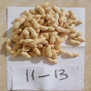  Arachide Non Coquillées - autres nous sommes à la recherche de fournisseur d'arachide non coquillées. taille 11-13. 100 contiennent entre 25 et 35 pilules,  nous voulons des pilules doubles et triples,  pas de coquilles noires. nous vous donnerons les détails pour le types d'emballage souhaité avec une vid