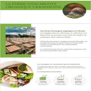  Escargots Helix Aspersa Muller - coquillage crustacé je recherche des acheteurs r&eacute;guliers pour des escargots cultiv&eacute;s dans une ferme biologique en ukraine. je propose des escargots vivants en &eacute;tat d'anabiose (sommeil) ainsi que des escargots de cuisson primaire et de surg&eacute;lation en coquille ou en filet d'escargot au foie. 